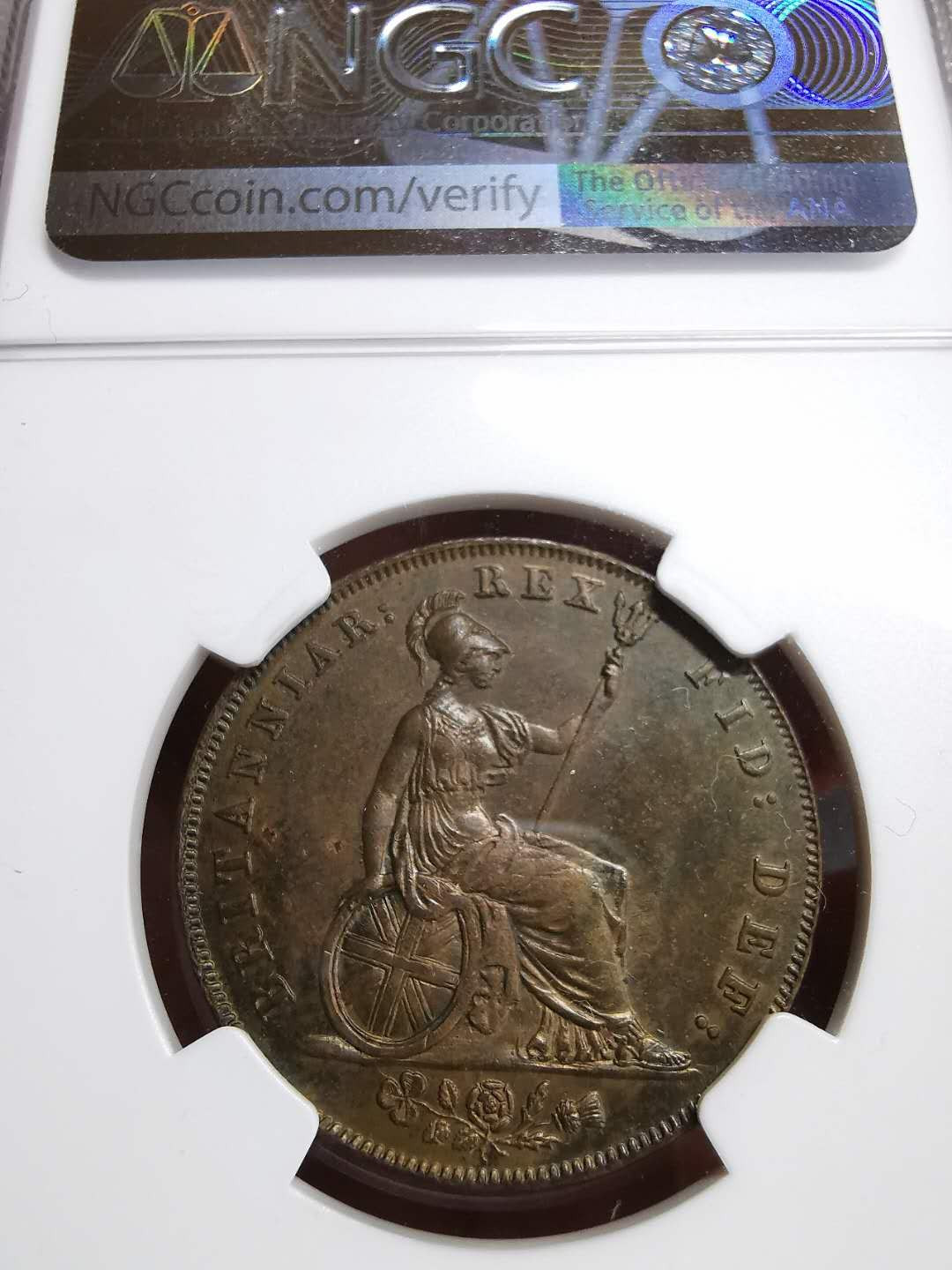 凡希社世界钱币微拍第一百十一期