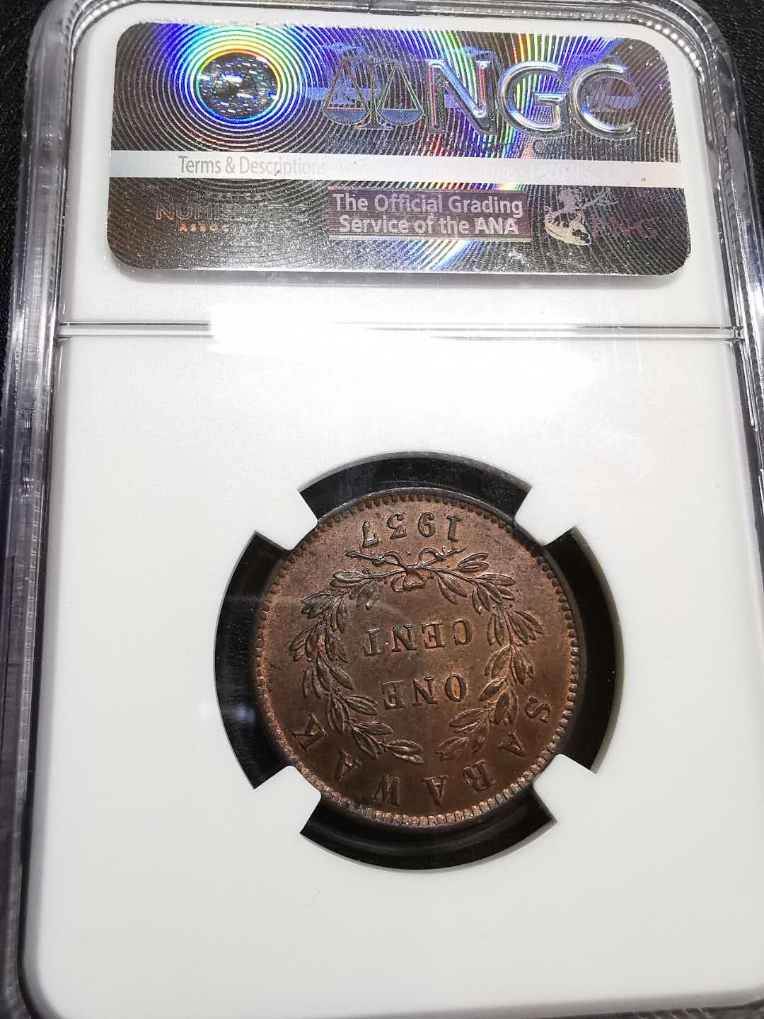 凡希社世界钱币微拍第一百十一期