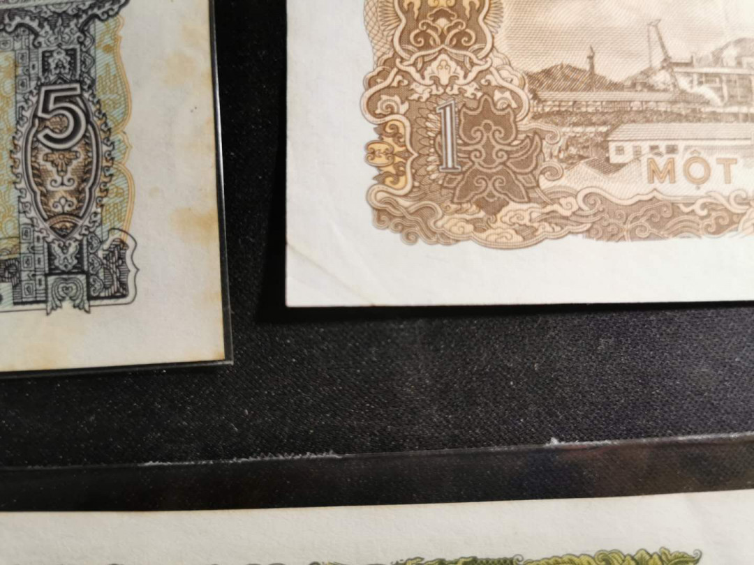 【鲸贝乐淘】千字文·第“化被草木”号拍卖 【越南🇻🇳 】76-85年0.5-50盾小面值流通品相，7张一起