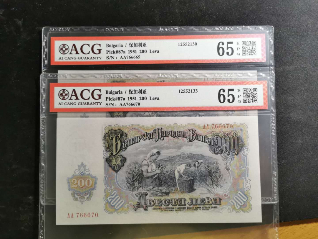 【鲸贝乐淘】千字文·第“化被草木”号拍卖 【保加利亚】1951年200列弗2张，苏联代印大票幅，爱藏65E