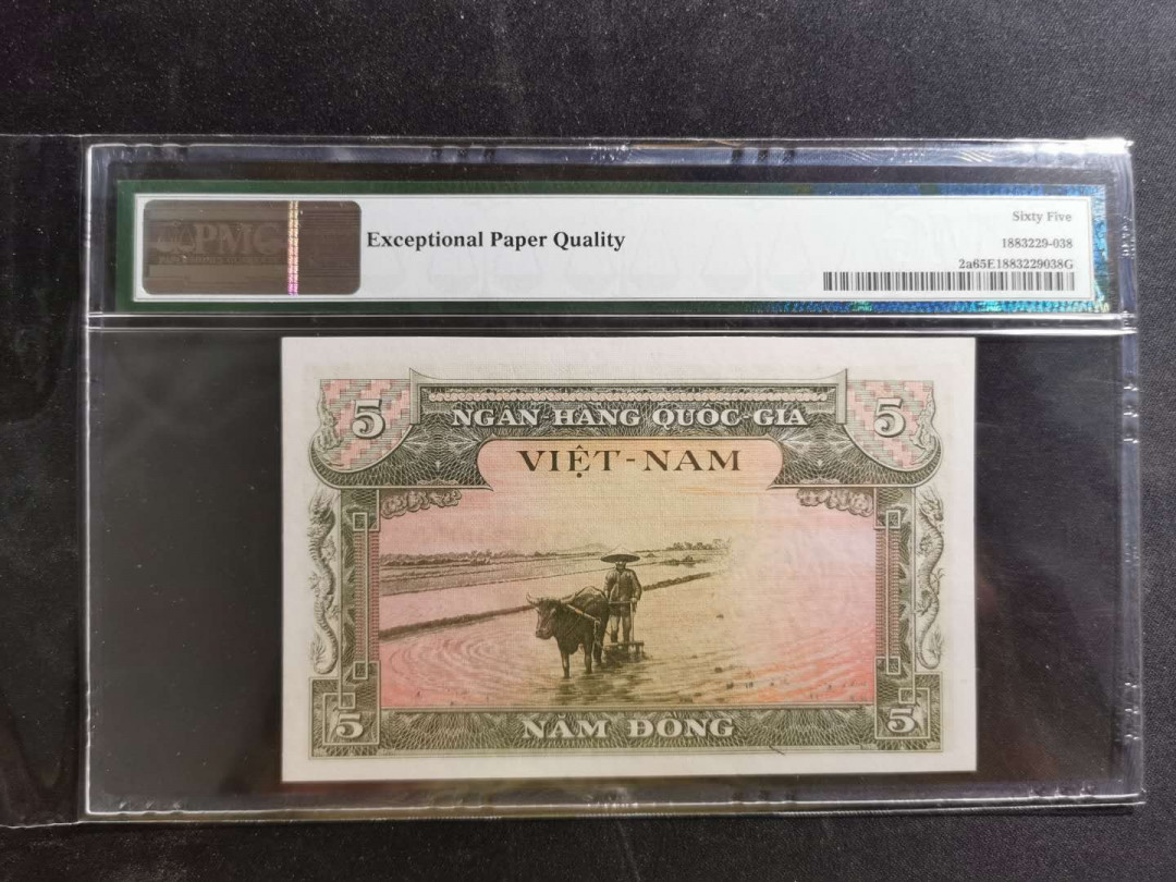 【鲸贝乐淘】千字文·第“化被草木”号拍卖 【越南🇻🇳 】南越1955年5盾，pMG65E 