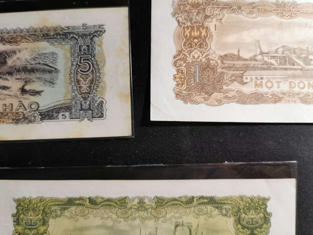 【鲸贝乐淘】千字文·第“化被草木”号拍卖 【越南🇻🇳 】76-85年0.5-50盾小面值流通品相，7张一起