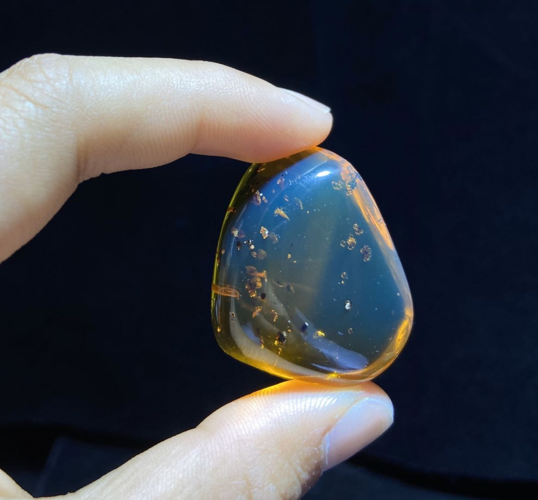 新年第一场多米尼加蓝珀专场 虫珀