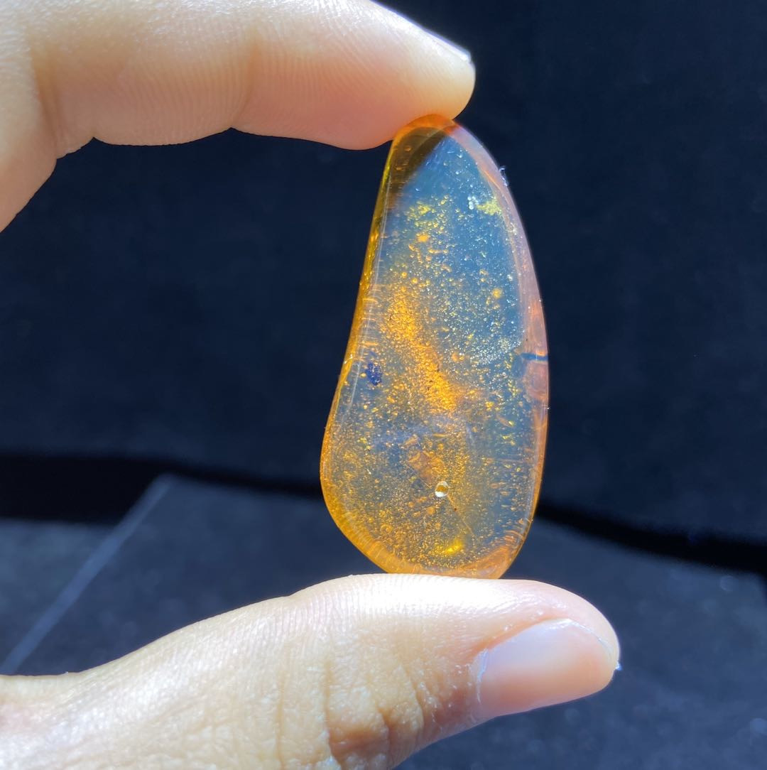 新年第一场多米尼加蓝珀专场 虫珀