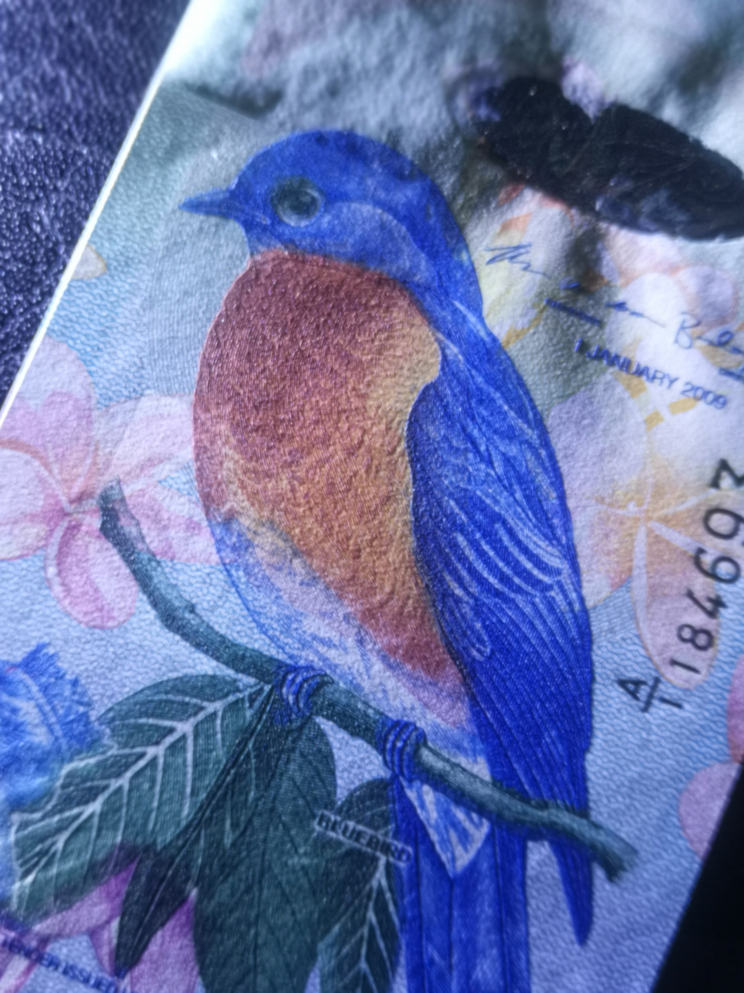 《外钞收藏家》第七十六期拍卖 百慕大精美 蓝鸟 2$ 雕刻很棒  绝品一张 难得的小精品