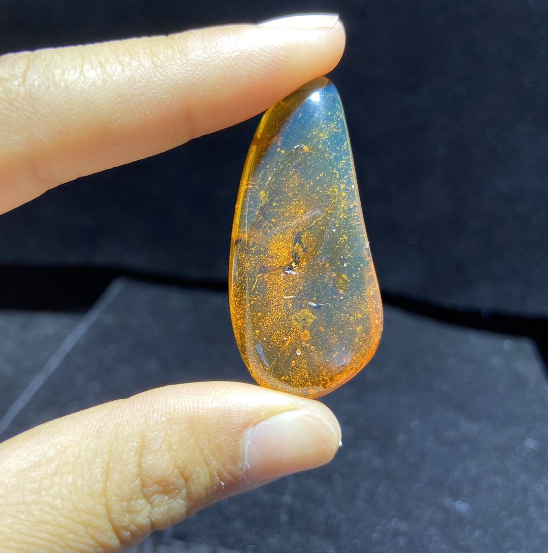 新年第一场多米尼加蓝珀专场 虫珀