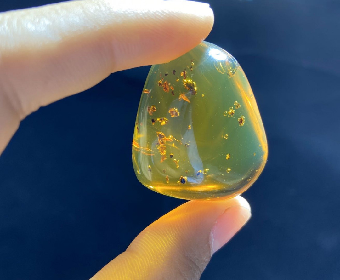 新年第一场多米尼加蓝珀专场 虫珀