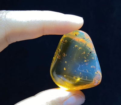 新年第一场多米尼加蓝珀专场 - 虫珀