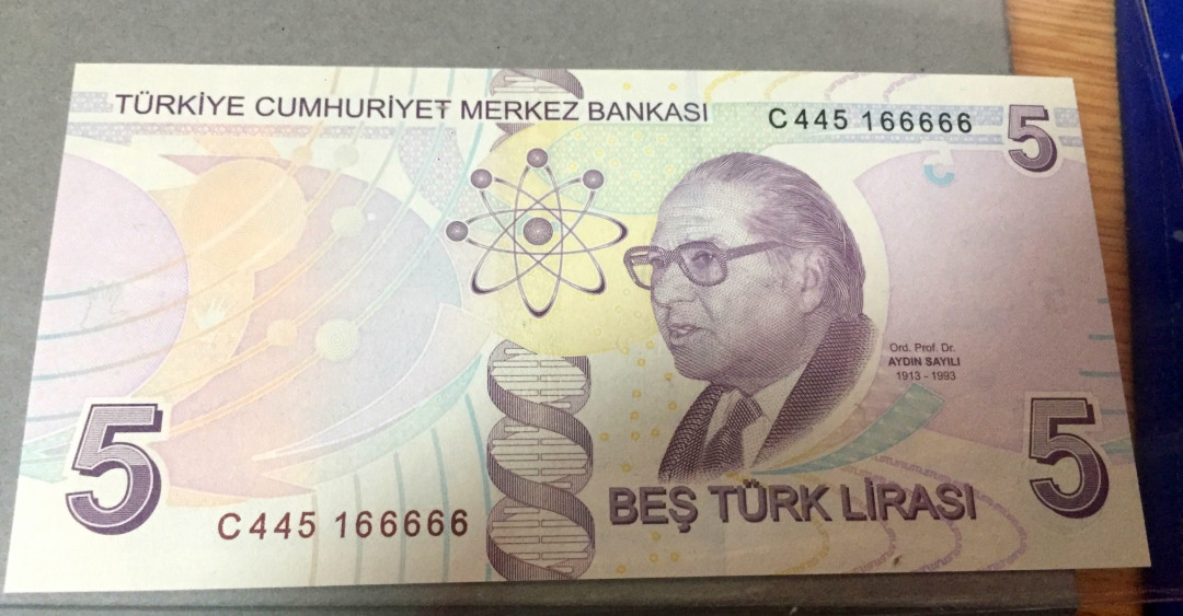 【收藏联盟】第127期拍卖——花神迎春（共50拍） 【一组2张】老虎号166666 土耳其 2017年 5里拉 全新UNC &乌克兰 2015年 500格里夫纳 全新UNC