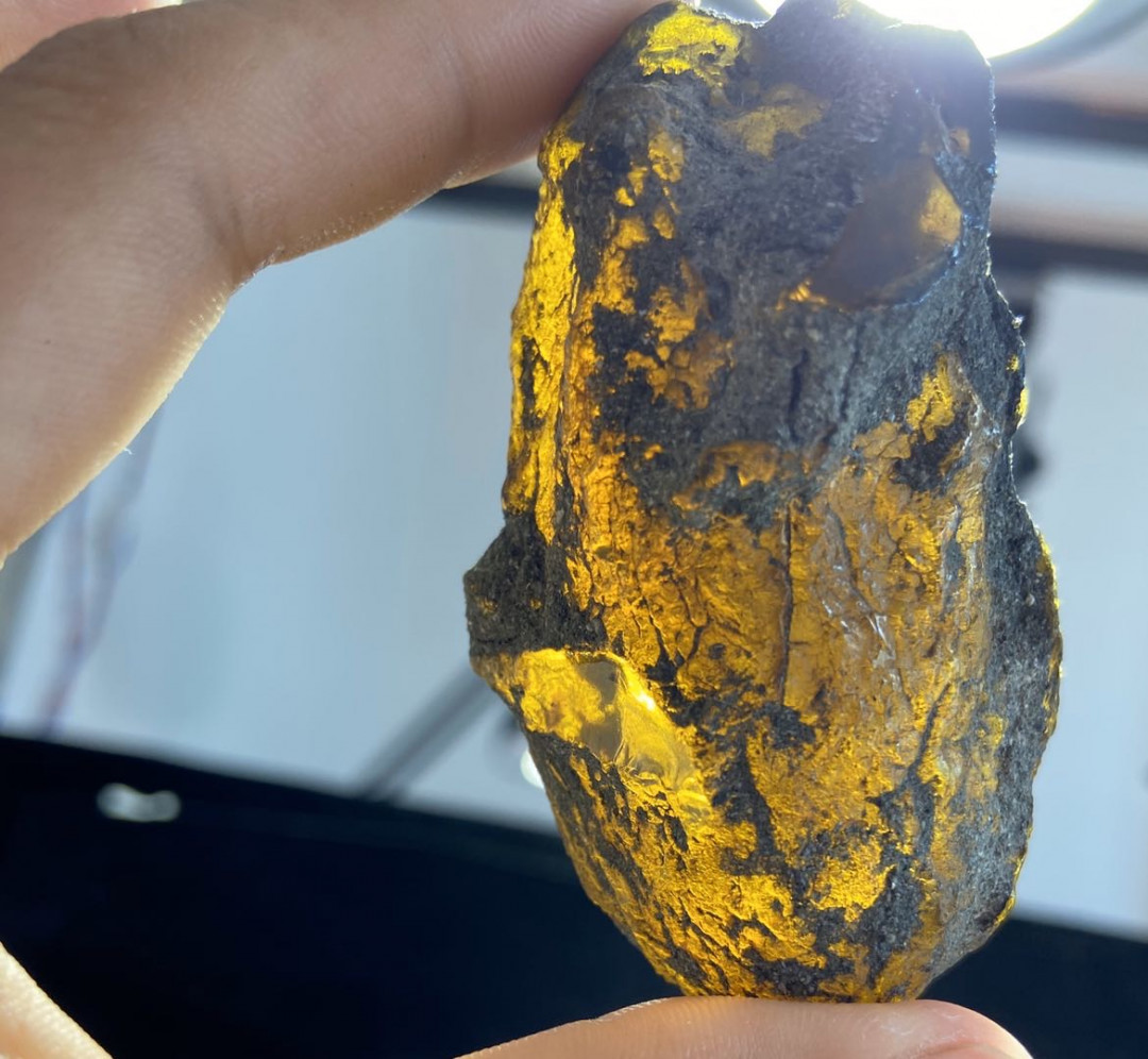 多米尼加蓝珀专场 多米尼加蓝珀原石