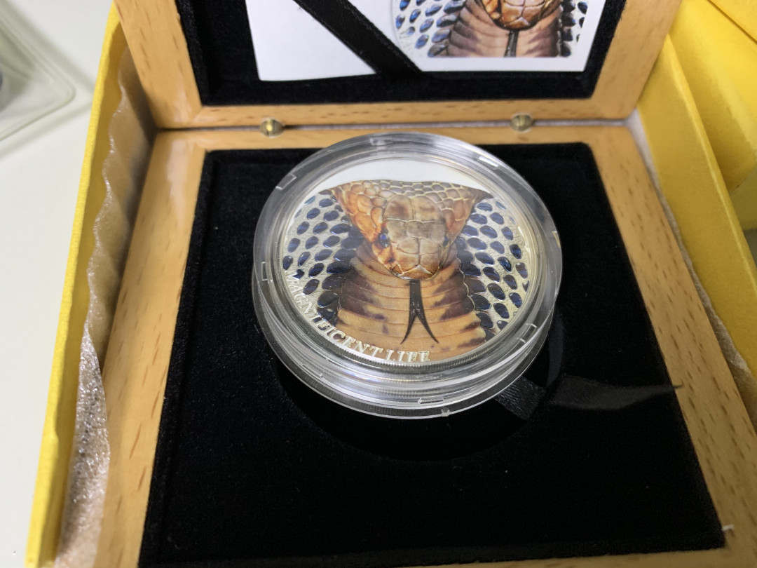 CSIS-GREAT评级精品钱币拍卖第二十九期 库克2017年波澜壮阔的一生系列三组眼镜蛇精制高浮雕彩色纪念银币