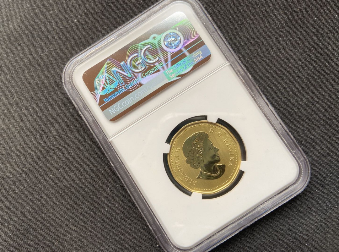 【币观天下】第101期钱币拍卖 【加拿大】2018年加拿大猫头鹰铜币【首期sp69】