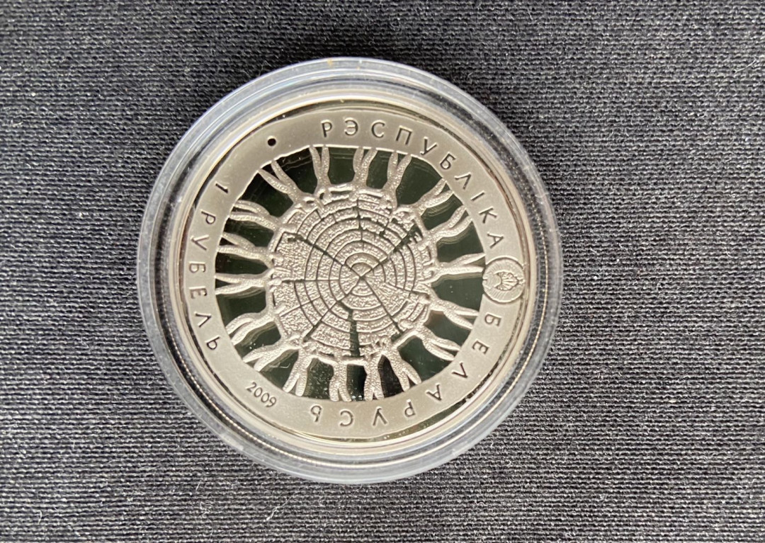 【币观天下】第101期钱币拍卖 【白俄罗斯】2009 白俄罗斯 2009年 “比亚沃维耶扎森林公园（1992年列入世界遗产名录）野生动物保护600周年”纪念镍币