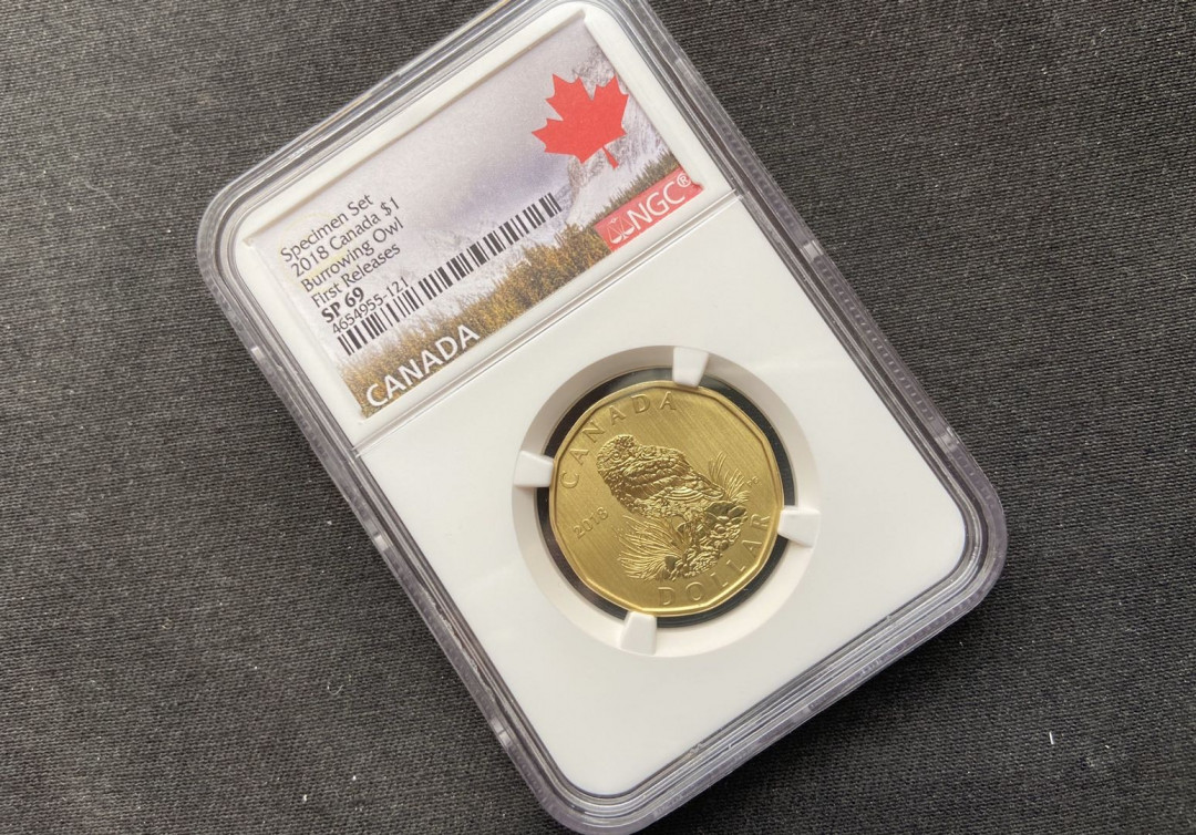【币观天下】第101期钱币拍卖 【加拿大】2018年加拿大猫头鹰铜币【首期sp69】