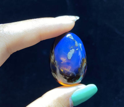 多米尼加蓝珀、缅甸琥珀 - 缅甸琥珀