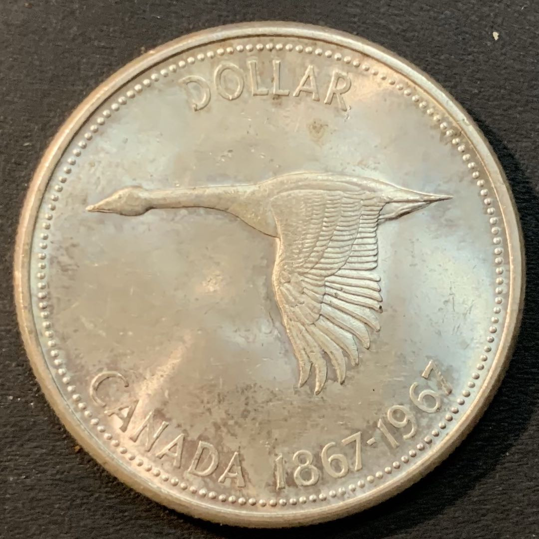 紫瑗钱币—微拍第41期  加拿大 1967年 建国百年 大雁 1元 23.5克 0.8银 