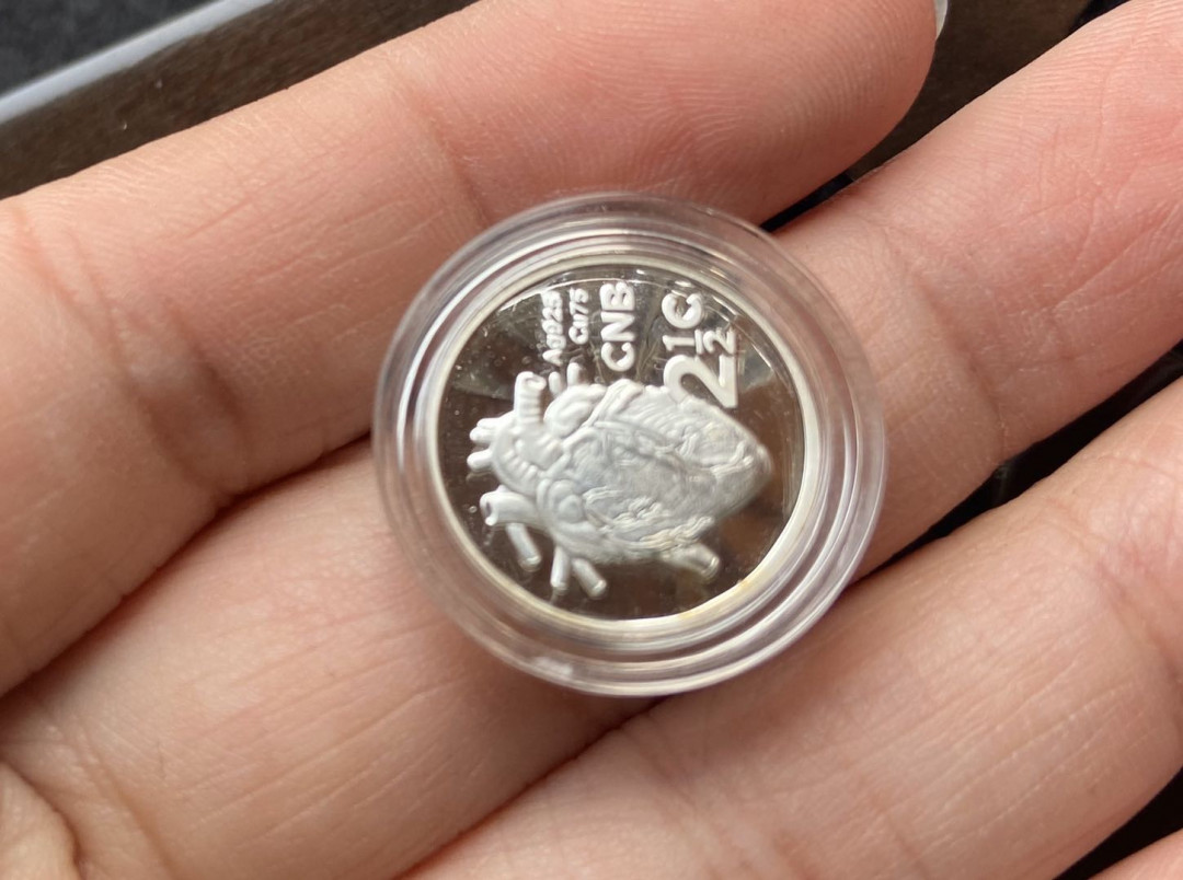 【币观天下】第102期钱币拍卖 【南非】大小心脏套装【带烤漆盒子+模型】