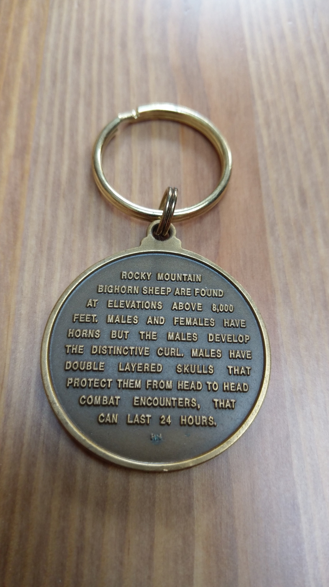 麦朵尔艺术俱乐部第28场拍卖  洛基山羊