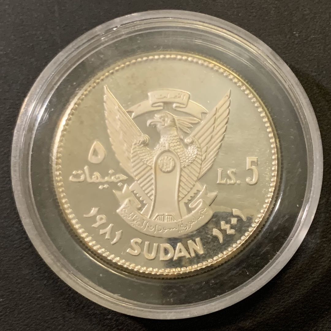 紫瑗钱币—微拍第43期  苏丹 1981年 国际儿童年 5磅 19.44克 0.925银 精制