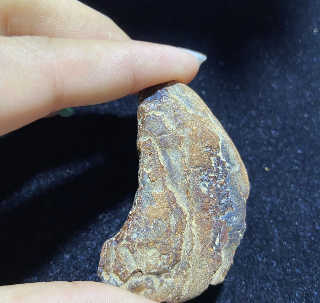 多米、缅甸琥珀混拍专场 缅甸血珀原石