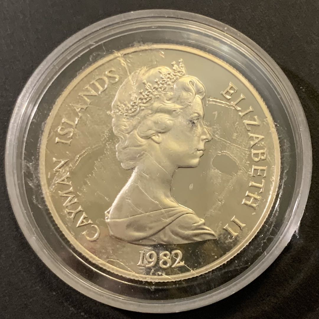 紫瑗钱币—微拍第43期  开曼群岛 1982年 国际儿童年 10元 27.9克 0.925银 精制