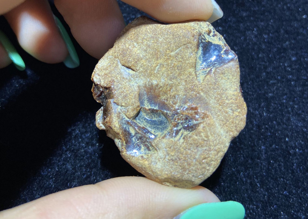 多米、缅甸琥珀混拍专场 缅甸血珀原石