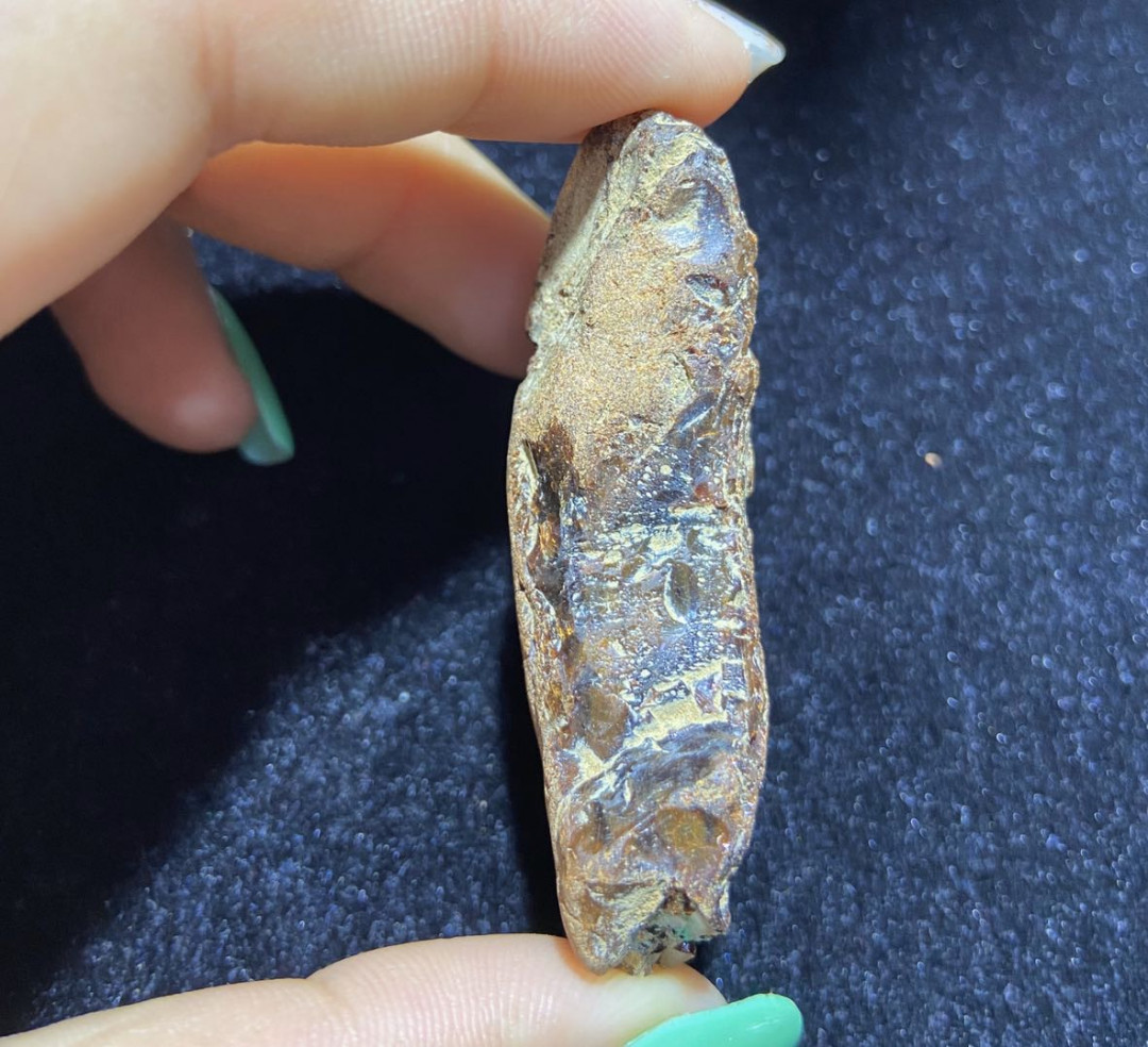 多米、缅甸琥珀混拍专场 缅甸血珀原石