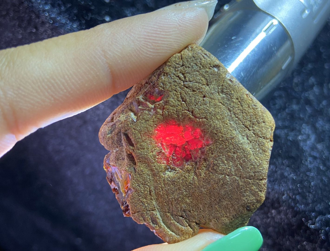 多米、缅甸琥珀混拍专场 缅甸血珀原石