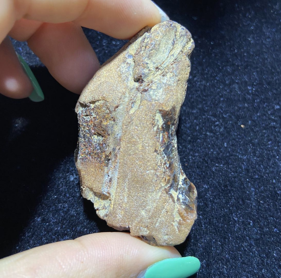 多米、缅甸琥珀混拍专场 缅甸血珀原石