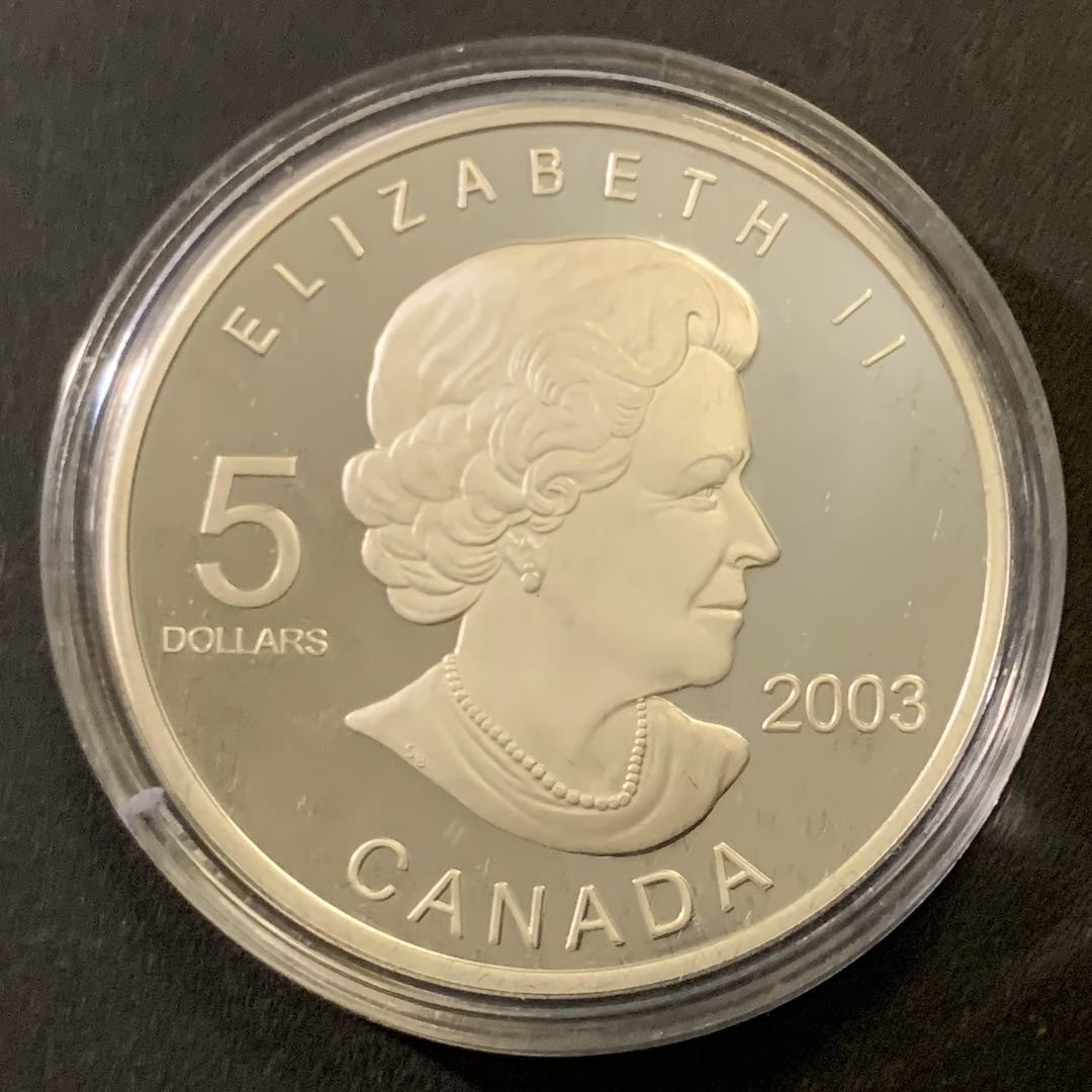 紫瑗钱币—微拍第43期  加拿大 2003年 德国世界杯 5元 31.12克 0.999银 精制