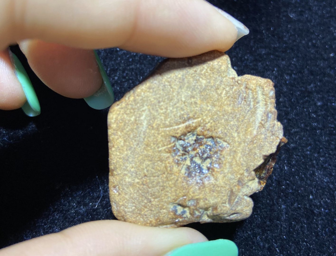 多米、缅甸琥珀混拍专场 缅甸血珀原石