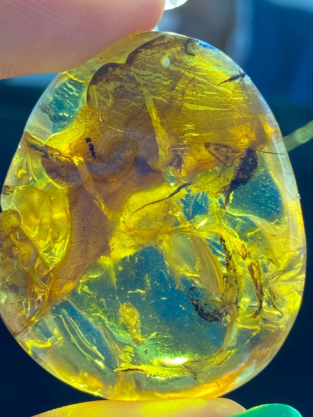 多米、缅甸琥珀混拍专场 多米尼加蓝珀虫珀