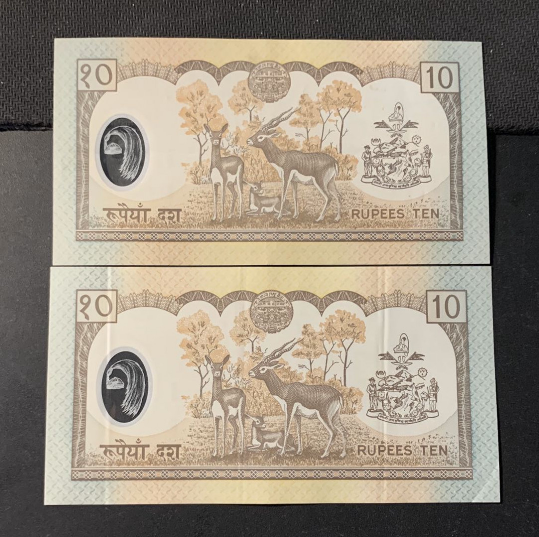 紫瑗钱币—微拍第44期—纸币场 尼泊尔 10卢比 塑料钞 2枚一组 1枚 UNC