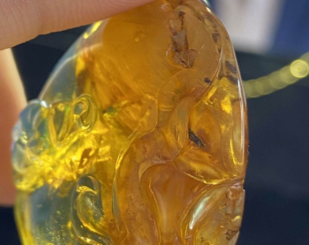 多米、缅甸琥珀混拍专场 多米尼加蓝珀虫珀