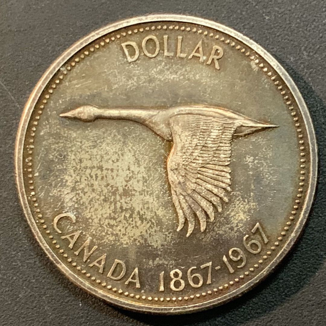 紫瑗钱币—微拍第46期  加拿大 1967年 建国百年 大雁 1元 23.5克 0.8银 精制
