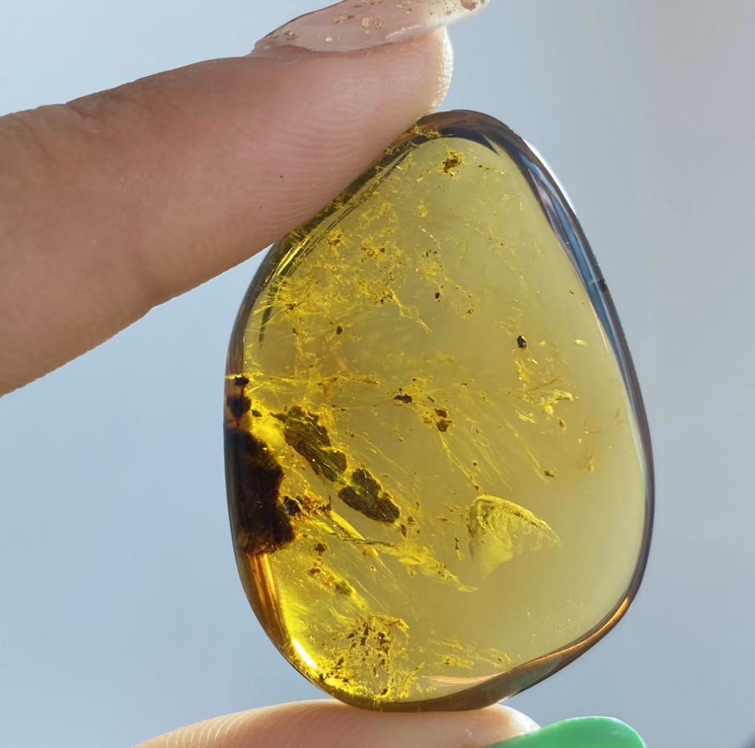 多米尼加蓝珀拍卖 缅甸琥珀随形