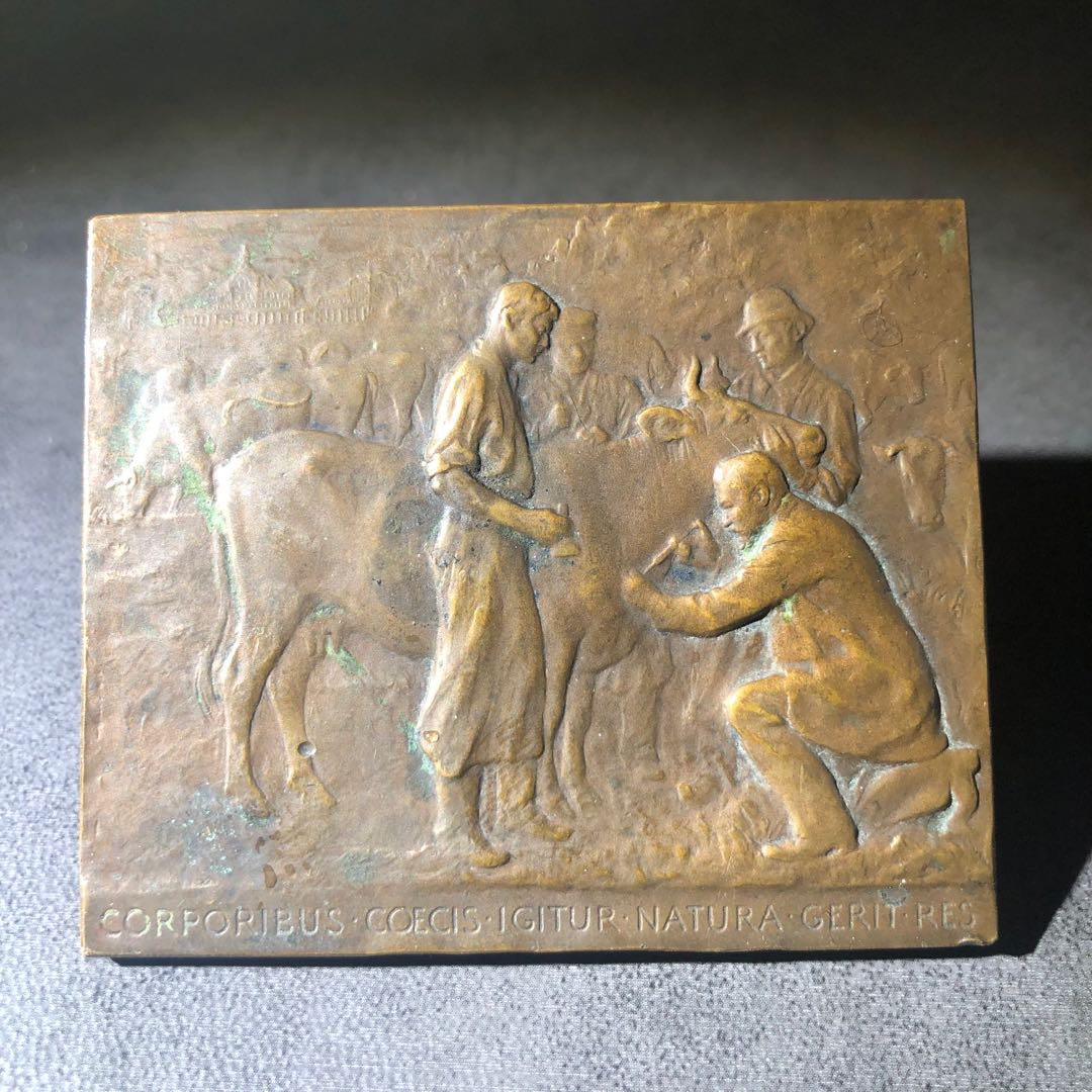 麦朵尔艺术名家系列（30） 打针