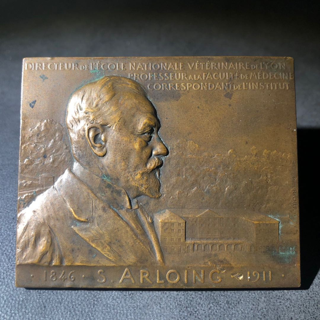 麦朵尔艺术名家系列（30） 打针