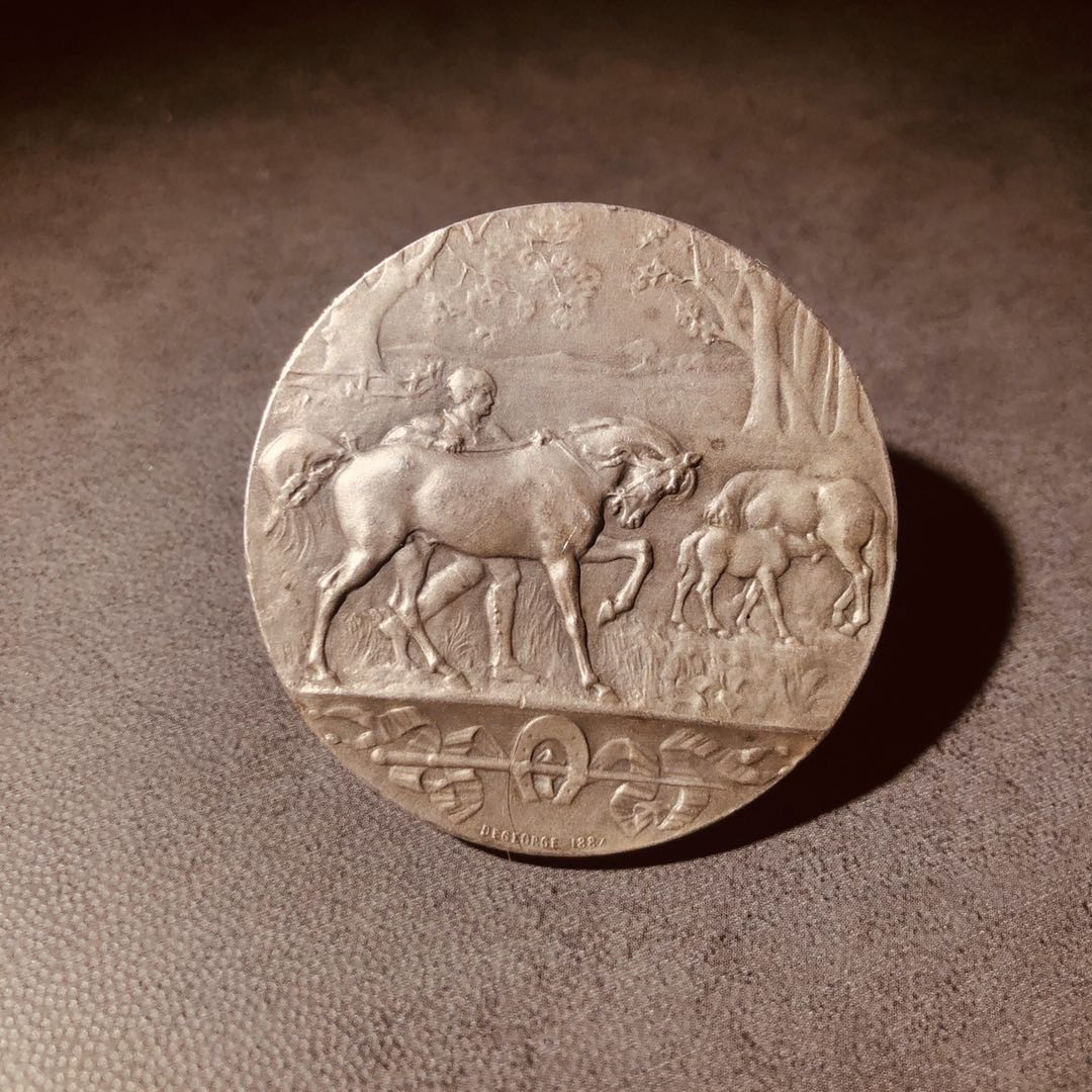 法国麦朵尔艺术名家32 动物保护协会