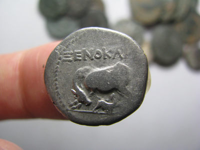 2020“爱你爱你”第十八期~外国古钱币 - 古希腊伊利里亚地区，母牛育犊，银币