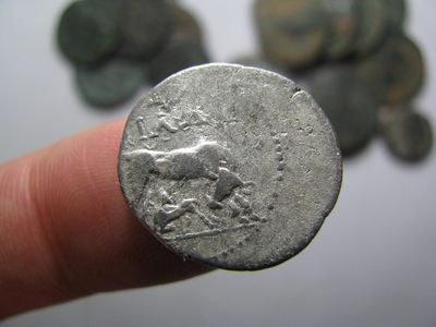 2020“爱你爱你”第十八期~外国古钱币 - 古希腊伊利里亚地区，母牛育犊，银币