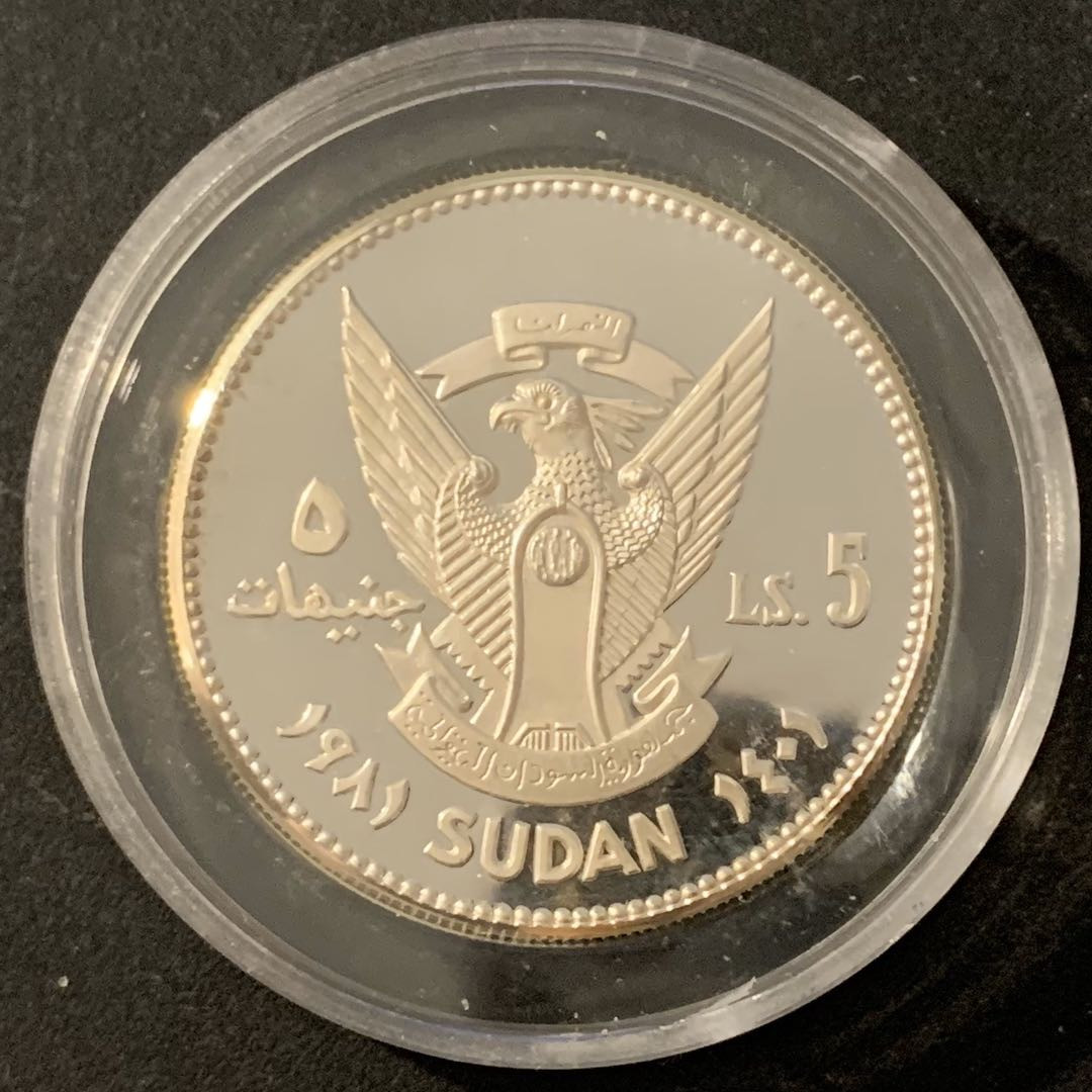 紫瑗钱币—微拍第48期  苏丹 1981年 国际儿童年 5磅 19.44克 0.925银 精制