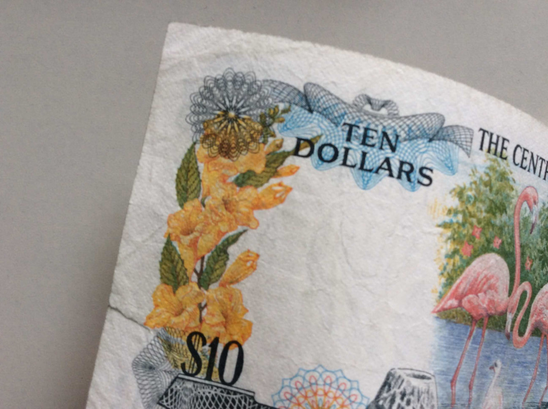 【收藏联盟】第132期拍卖——致敬女王（共60拍） 巴哈马 1974年 10元 彩背 火烈鸟 品相如图 女王 