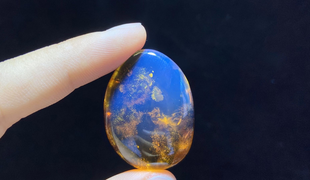 多米尼加蓝珀-缅甸琥珀 缅甸琥珀