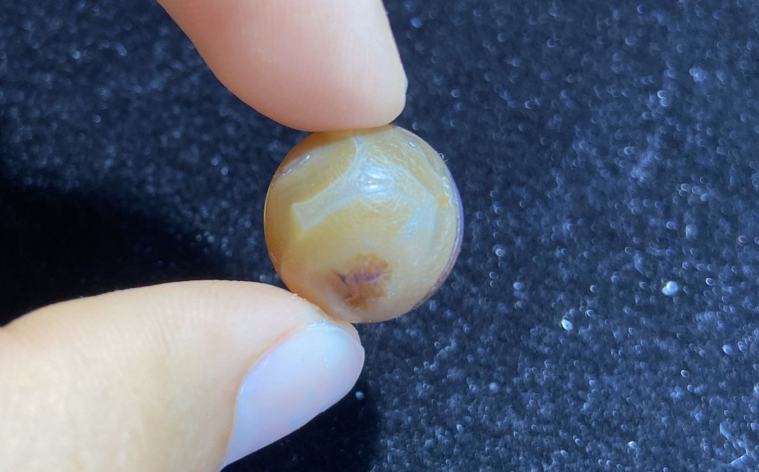 多米尼加蓝珀-缅甸琥珀 缅甸溶洞珀