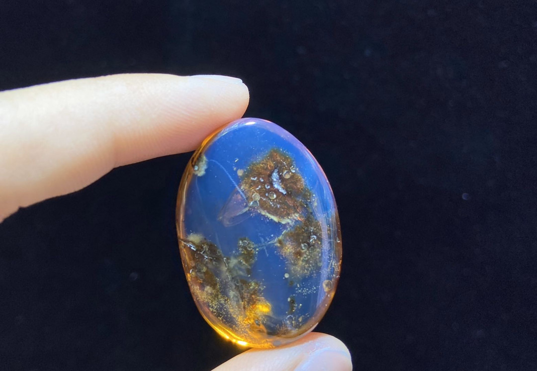 多米尼加蓝珀-缅甸琥珀 缅甸琥珀