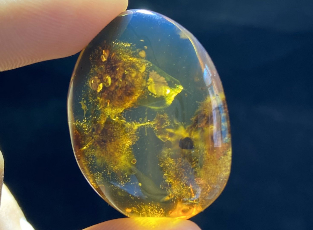 多米尼加蓝珀-缅甸琥珀 缅甸琥珀