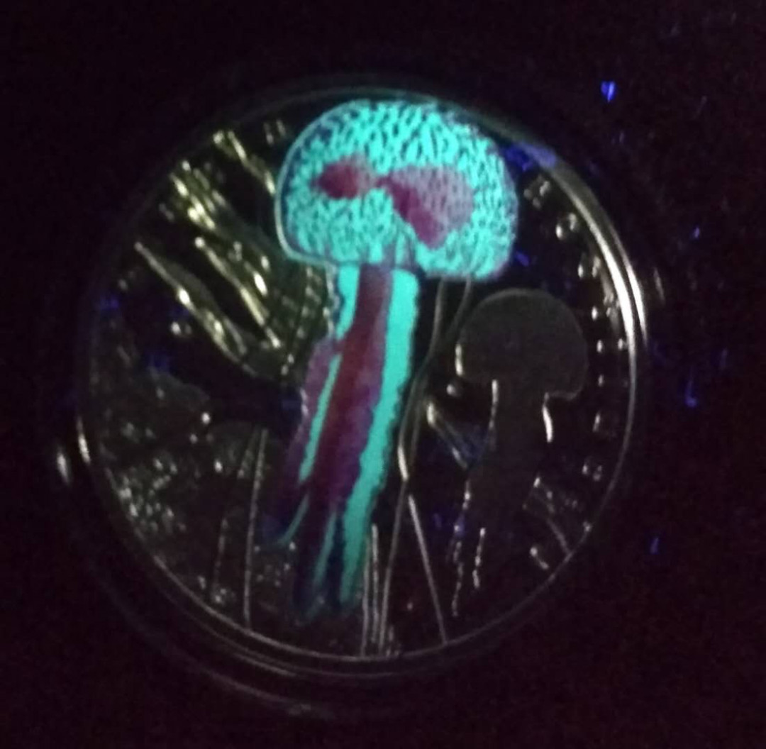 【币观天下】第104期钱币拍卖 纽埃2016年1元，龙头币、夜光银币，天然发光珍稀生物系列第1枚—紫光水母 ，夜光彩色精制银币