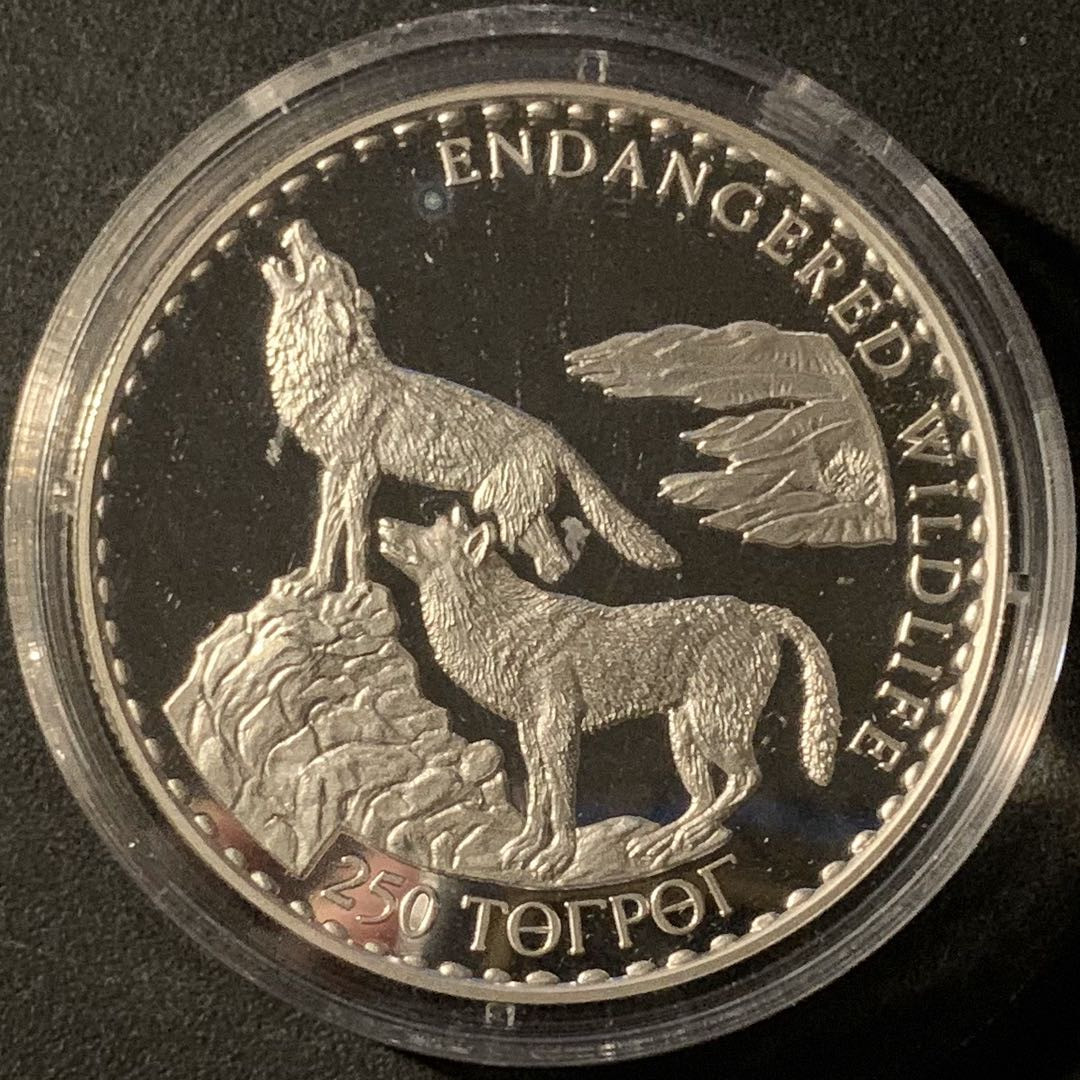 紫瑗钱币—微拍第50期  蒙古 1993年 世界濒危野生动物 草原狼 250 图格里 31.47克 0.925银 精制
