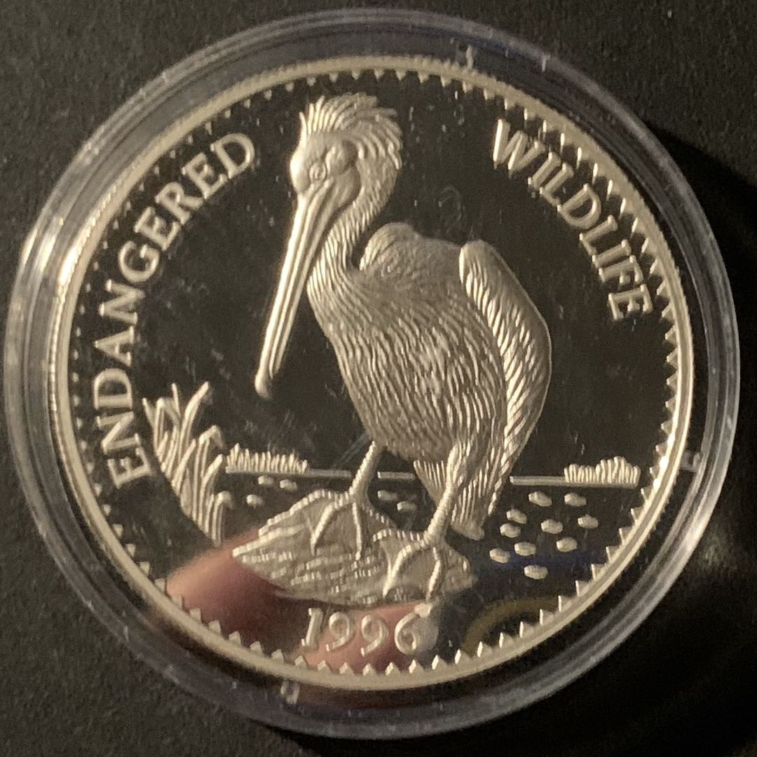 紫瑗钱币—微拍第50期  蒙古 1996年 世界濒危保护动物 鹈鹕 500图格里克 31.6克 0.925银 精制